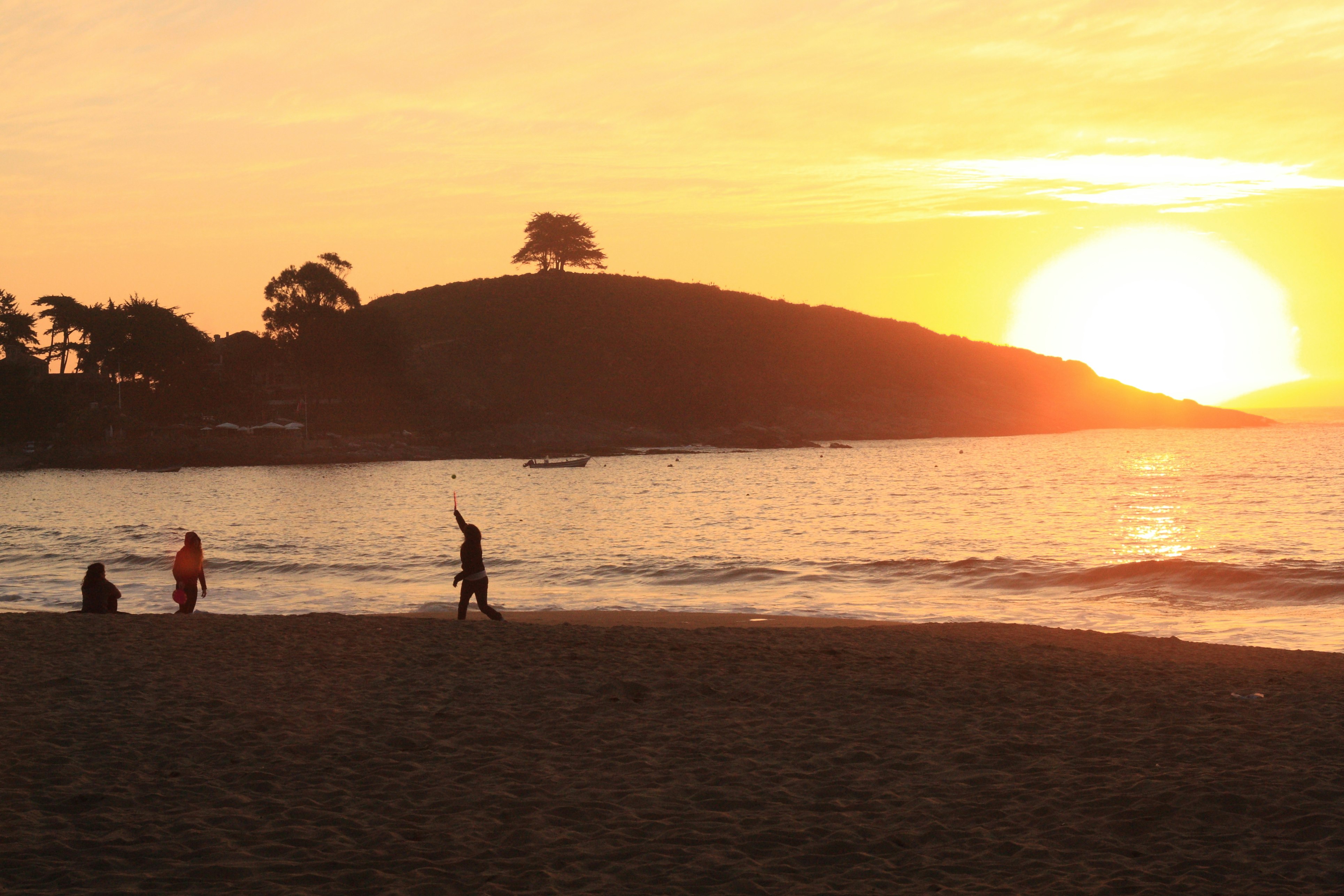 people at the beach during golden hour